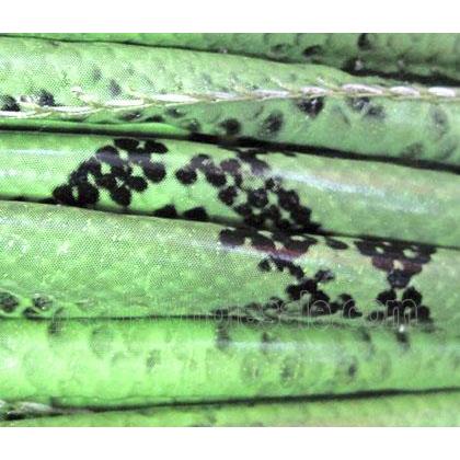 green PU leather wrapped cord