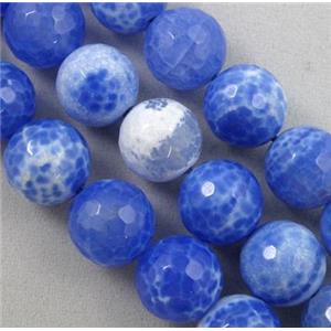 blue Fire Agate Stone beads, faceted round, 8mm dia, approx 48pcs per st [GA396-8MM]