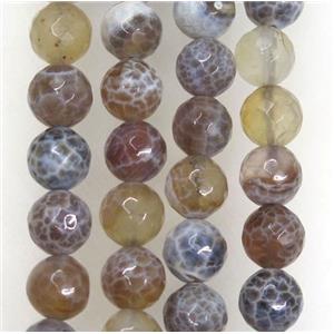 coffee Fire Agate beads, faceted round, approx 12mm dia [GA701-12MM]