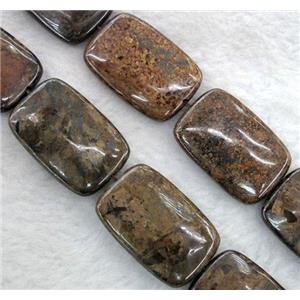 Bronzite Stone Bead, rectangle, approx 20x30mm [GMBZ07]