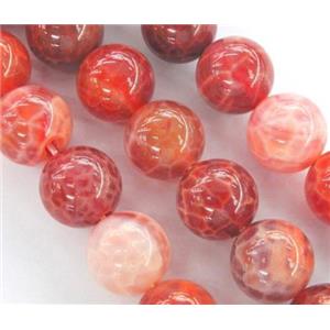 round Fire Ruby Agate beads, grade A, 16mm dia, approx 25pcs per st [GMFA40-16MM]