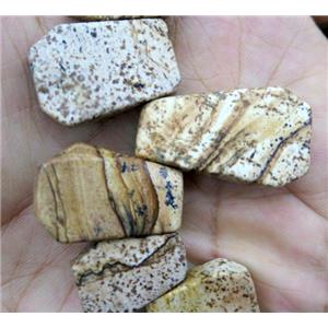 picture jasper bead, freeform, approx 14-25mm [GMLB1111]