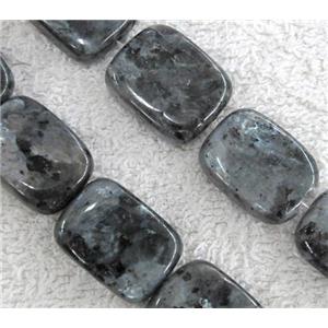 Labradorite bead, rectangle, approx 20x30mm [GMLB248-20X30MM]