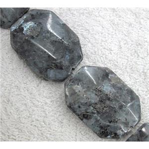 Labradorite bead, faceted rectangle, approx 30x40mm [GMLB252-30X40MM]