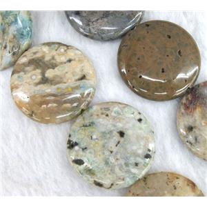Ocean Agate beads, coin round, approx 30mm dia, 15.5 inches [GMLB359]