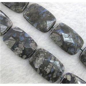 gray opal stone bead, faceted rectangle, approx 20x30mm, 15.5 inches [GMLB438-20X30MM]
