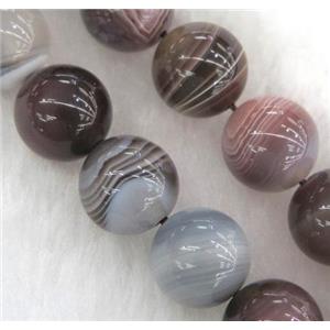 natural round Botswana Agate beads, gray, approx 4mm dia, 15.5 inches [GMLB984-4MM]