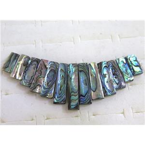 Paua Abalone shell choker for necklace, approx 12-30mm [GMPDA2413]