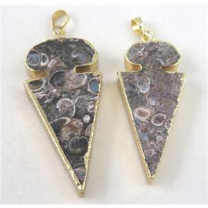 Ammonite Fossil pendant, arrowhead, gold plated, approx 15-55mm [GMPDA2422]