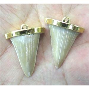 fossil of shark-tooth pendant, gold plated, approx 15-20mm [GMPDA2634]