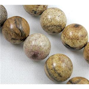 round Picture Jasper Beads, approx 10mm dia [GMRD13-10MM]