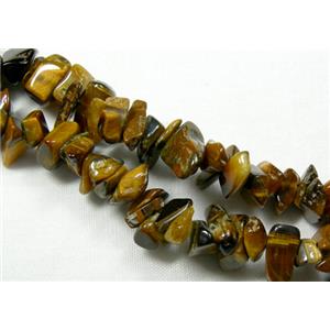 Tiger Eye Stone Chip Beads, 3-8mm [GMS019]