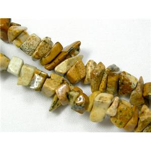 yellow Picture Jasper Chip Beads, 4-8mm [GMS041]