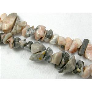 Zebra jasper Chip Beads, 3-8mm [GMS052]