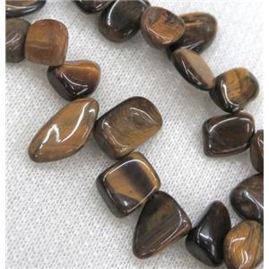 tiger eye bead chips, freeform, approx 6-10mm, 15.5 inches [GMST242]