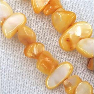 freshwater shell chip beads, freeform, yellow, approx 6-15mm, 15.5 inches [GMST298]