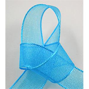 aqua Organza Ribbon Cord, 9mm wide [JTORG01C20-9MM]