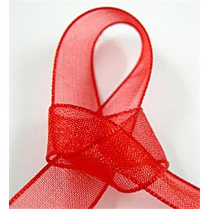 red Organza Ribbon Cord, 25mm wide [JTORG01C026-25MM]