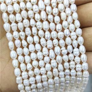 Natural White Freshwater Pearl Beads Rice C-Grade, approx 4-5mm [PA-ST-01-5MM]