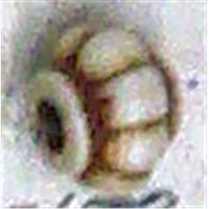 Antique Style red plastic bead spacer, 11mm dia, approx 1000pcs [PSAS2149]