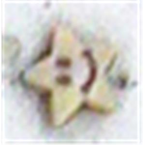 Antique Style red plastic bead, star, 9mm dia, approx 4300pcs [PSAS2174]