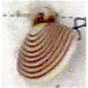 Antique Style red plastic bead, 18x16mm, approx 650pcs [PSAS2196]