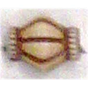 Antique Style red plastic bead, 10x12mm, approx 780pcs [PSAS2218]