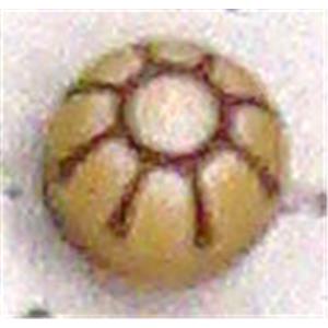 Antique Style red plastic bead, 12mm dia, approx 500pcs [PSAS2219]