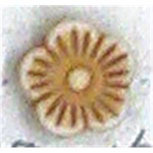 Antique Style red plastic bead, flower, 12mm dia, approx 1600pcs [PSAS2250]