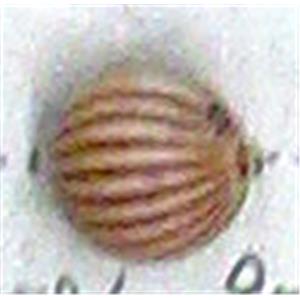Antique Style red plastic bead, round, 10mm dia, approx 900pcs [PSAS2586]