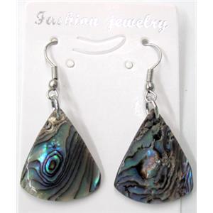 Paua Abalone shell earring, teardrop, mxied, 20x25mm [SHEAB40]