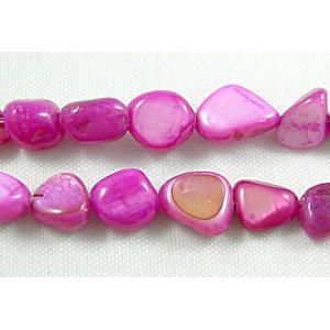 32 inches string of freshwater shell beads, freeform, hot-pink, about 5-8mm wide, 7-11mm length, 120pcs per st [SHECF23]