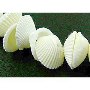 White Conch beads, approx 14mm dia [SHECH02]