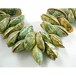 Dyed, Conch Beads, 12x20mm, 20x33mm, approx 600pcs [SHECH03C02]