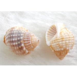 shell Conch bead, approx 11-14mm [SHECH07]