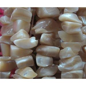 Fresh water shell bead, freeform, approx 5-13mm [SHEER057]