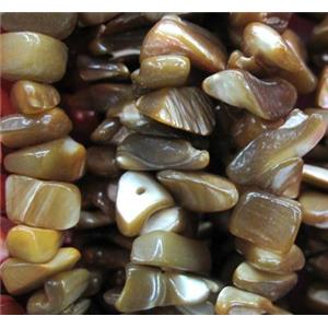 Fresh water shell bead, freeform, approx 5-13mm [SHEER059]