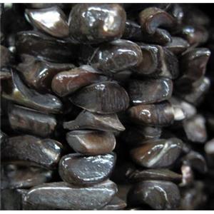 Fresh water shell bead, freeform, approx 5-13mm [SHEER064]