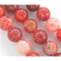 round Fire Ruby Agate beads, grade A, 16mm dia, approx 25pcs per st [GMFA40-16MM]