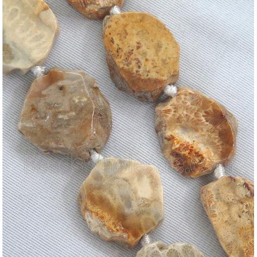 Coral Fossil slice bead, flat freeform
