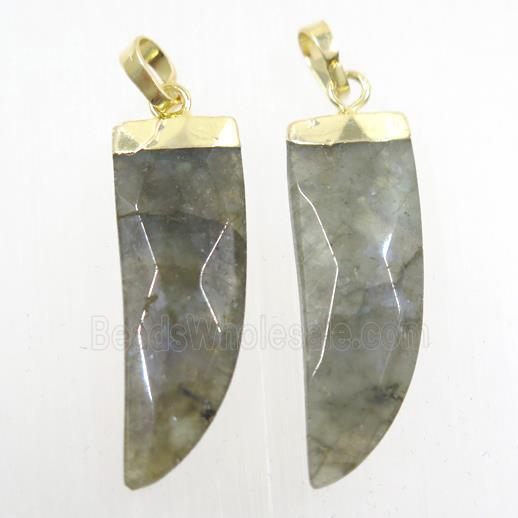 Labradorite horn pendant, gold plated