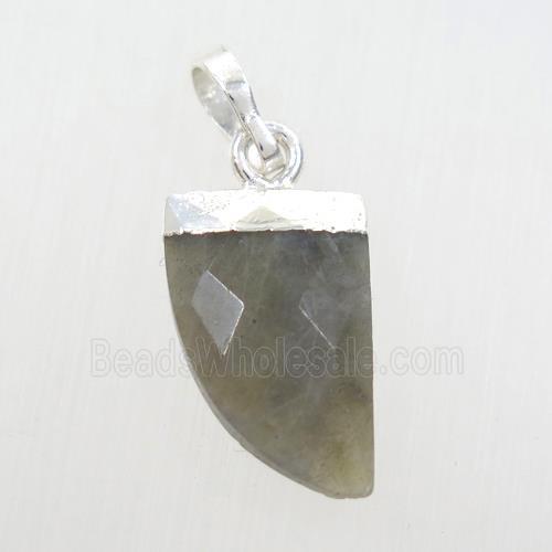 Labradorite horn pendant, silver plated