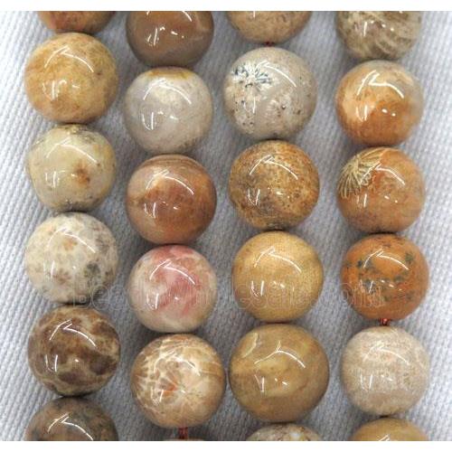 round coral fossil beads