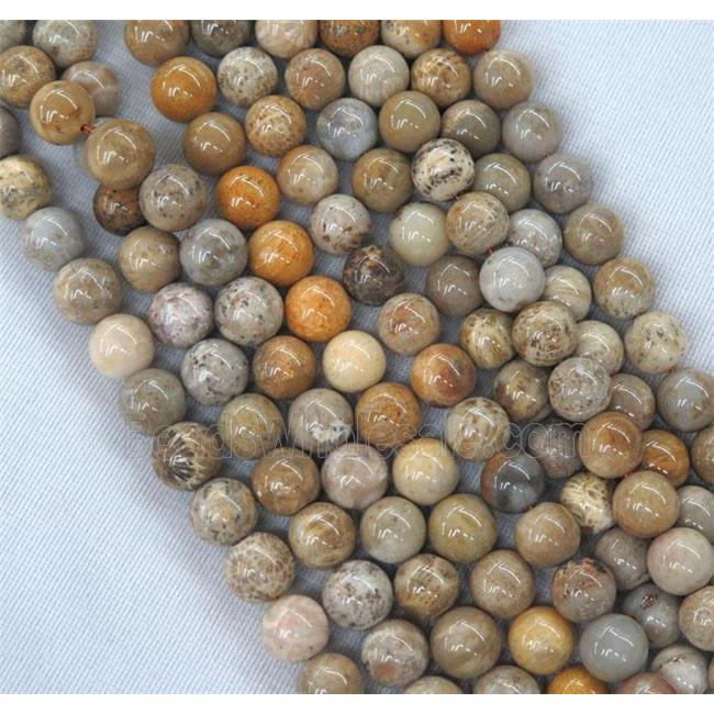 round coral fossil beads