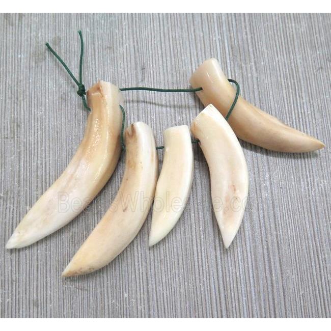 wolf-tooth pendant