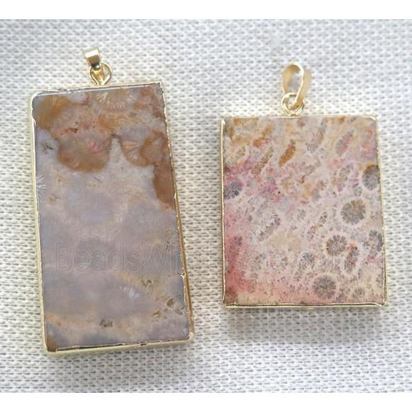 coral fossil pendant, rectangle, gold plated