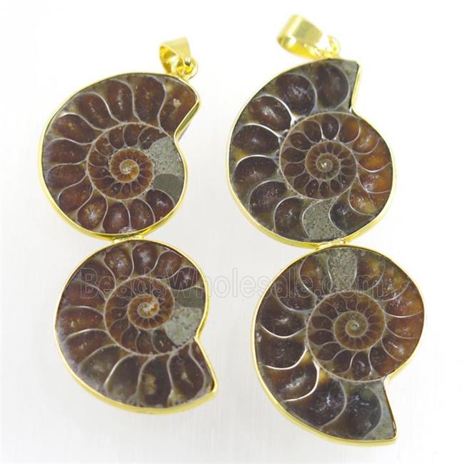 double Ammonite Fossil pendant, gold plated