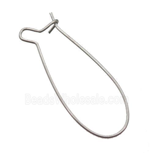 stainless steel Hook Earrings wire