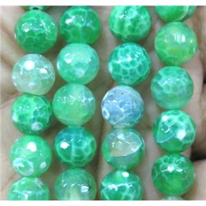 faceted round Green Fired Agate Beads, approx 10mm dia [GA1038]