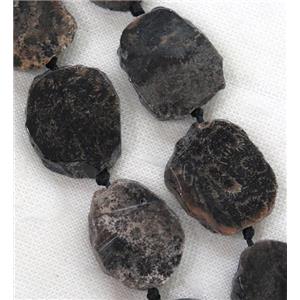black Coral Fossil slab beads, approx 20-40mm [GASA1705]